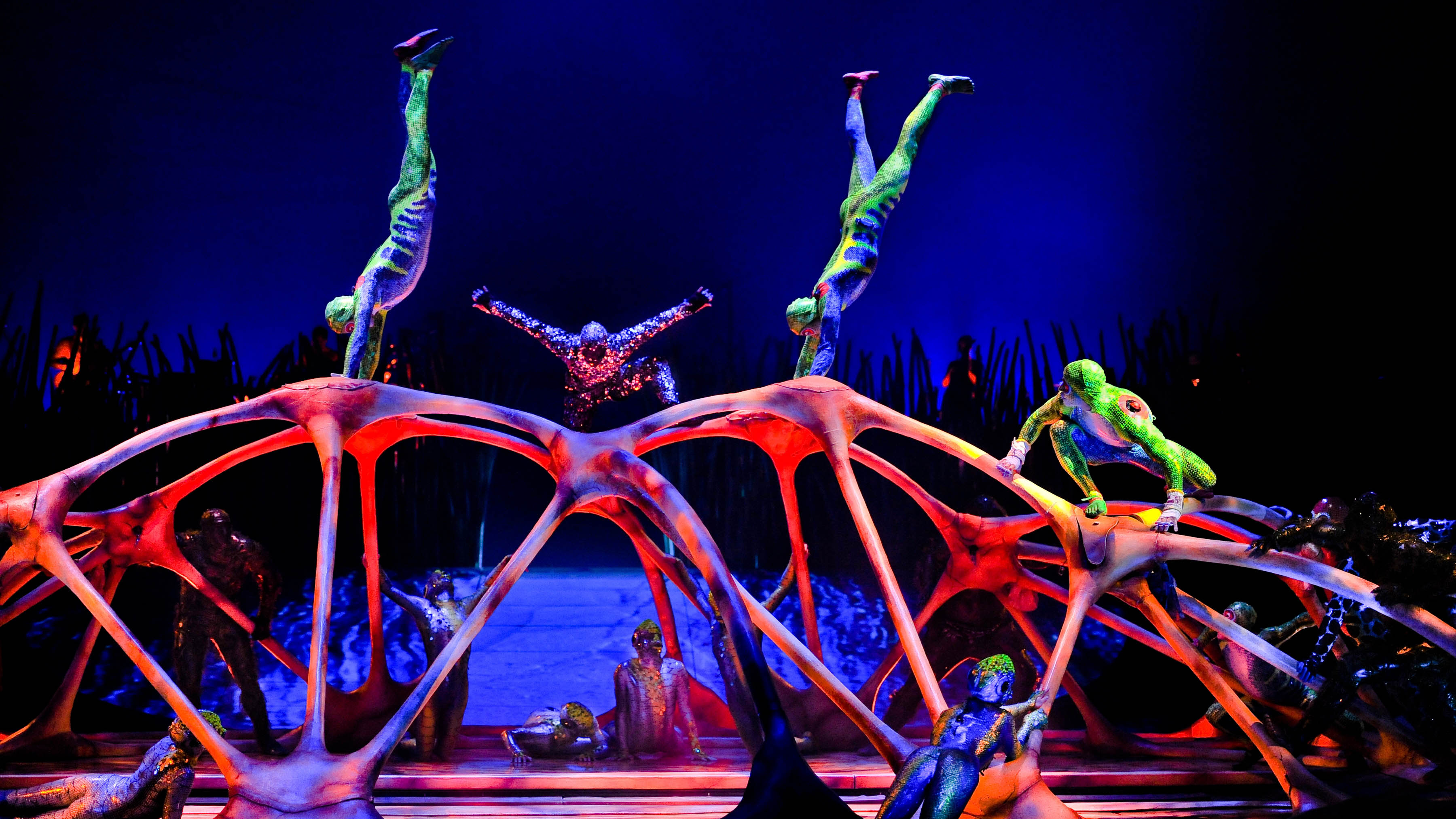 best cirque du soleil shows